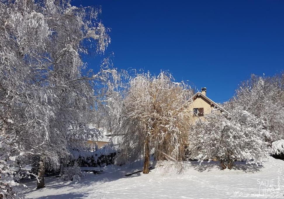 Studio Cosy Et Fonctionnel Entre Saule Et Lilas Villard-de-Lans Zewnętrze zdjęcie