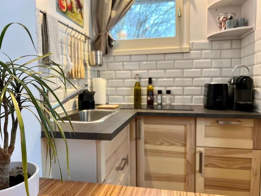 Studio Cosy Et Fonctionnel Entre Saule Et Lilas Villard-de-Lans Zewnętrze zdjęcie